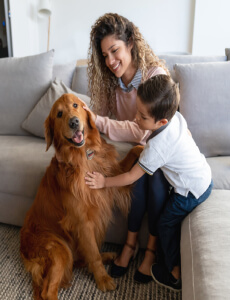 woman and young boy petting golden retriever for pet law